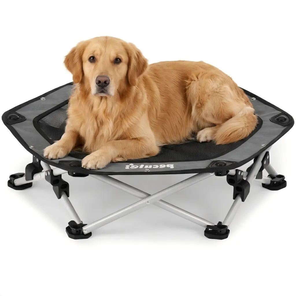 Pecute Elevated Dog Bed with Cooling Blanket - 16Mm Foldable Portable Steel Frame, Hose-Cleanable Mesh Saves Time, 60Kg Weight Capacity, Fold Back in 3S, Storage Bag, for Small Dogs Poodle, Patio Camping Outdoor Pet Cot, Plain