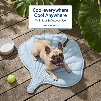 Nuzzlebox Eco-Friendly Gel-Free Cooling Pet Bed Mat - Durable, Portable, and Machine Washable Summer Solution for Cats and Small Dogs (34" x 36") Ideal for Outdoor Use