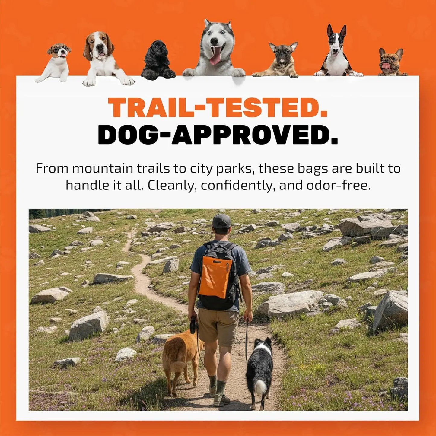 Cleanwaste Waggy Baggy Adventure-Ready Dog Waste Bags with Smell-Proof Dual Bag System and Convenient Carry Handle, 10 Count