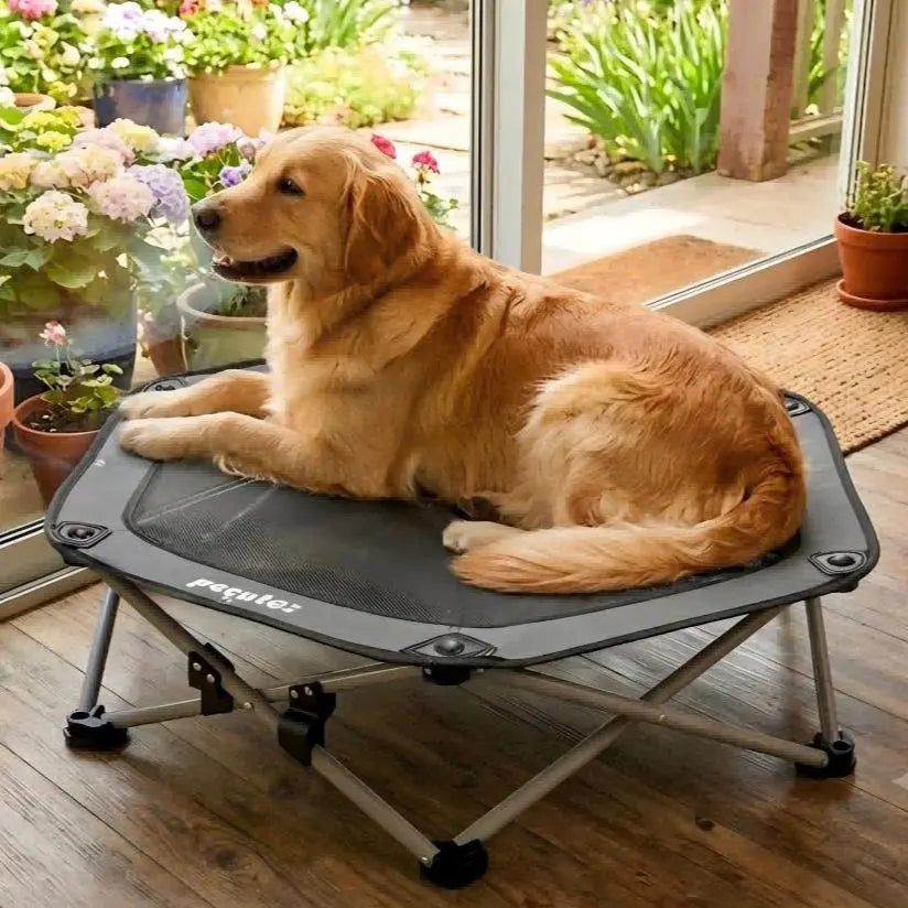 Pecute Elevated Dog Bed with Cooling Blanket - 16Mm Foldable Portable Steel Frame, Hose-Cleanable Mesh Saves Time, 60Kg Weight Capacity, Fold Back in 3S, Storage Bag, for Small Dogs Poodle, Patio Camping Outdoor Pet Cot, Plain