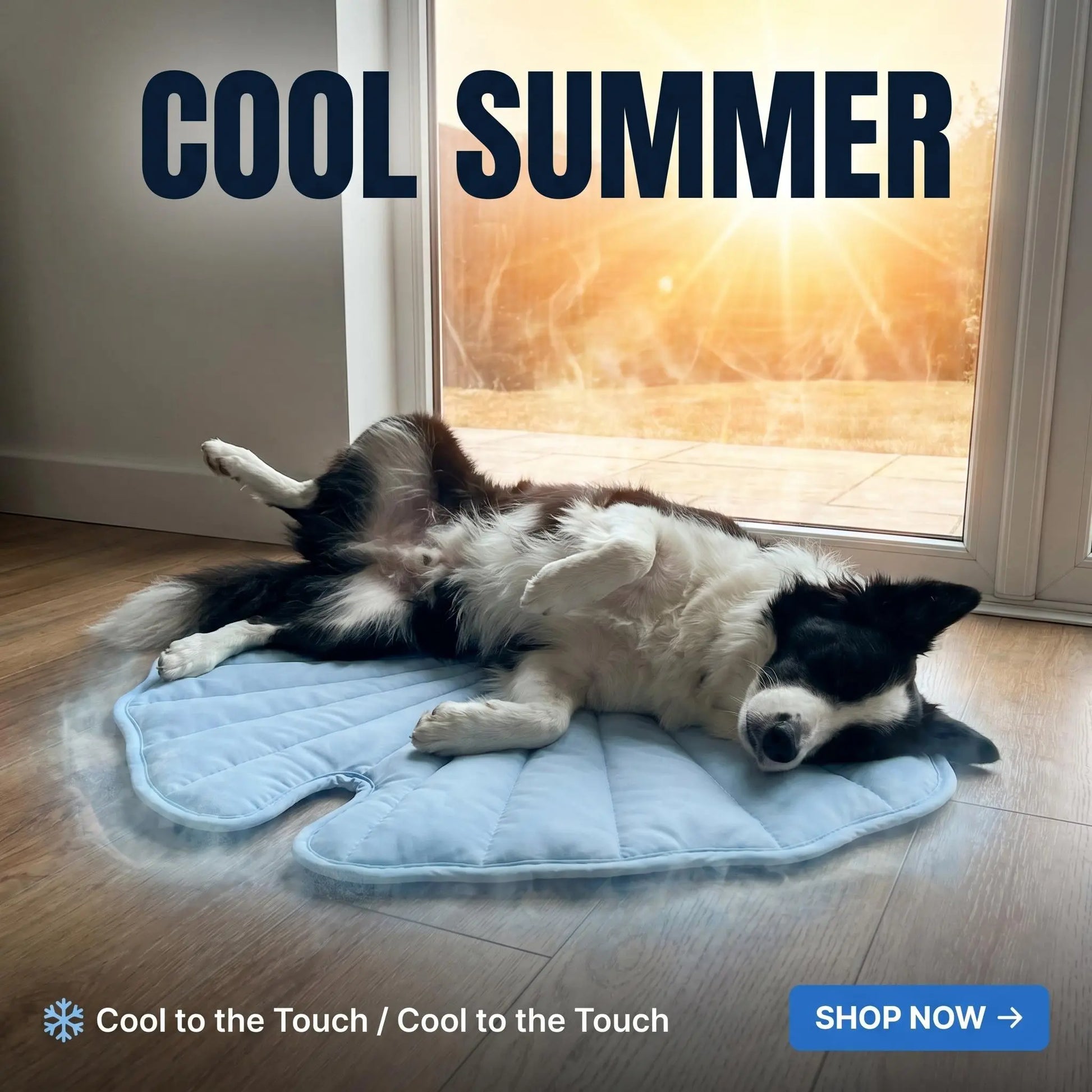 Nuzzlebox Eco-Friendly Gel-Free Cooling Pet Bed Mat - Durable, Portable, and Machine Washable Summer Solution for Cats and Small Dogs (34" x 36") Ideal for Outdoor Use