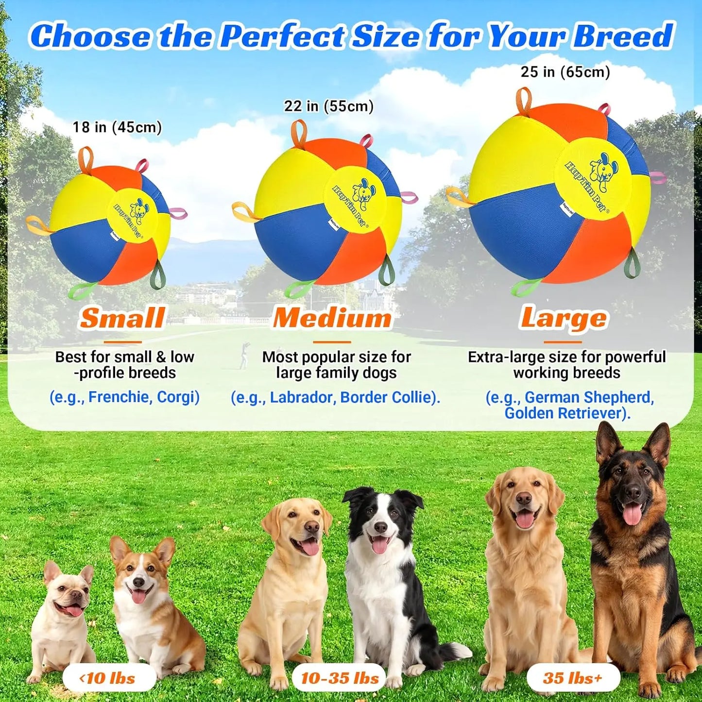 Hap Tim Interactive Herding Ball for Dogs - Durable Outdoor Training Toy for Medium to Large Breeds, Including Corgis, Australian Shepherds, Cattle Dogs, and Border Collies (Not Suitable for Aggressive Chewing)
