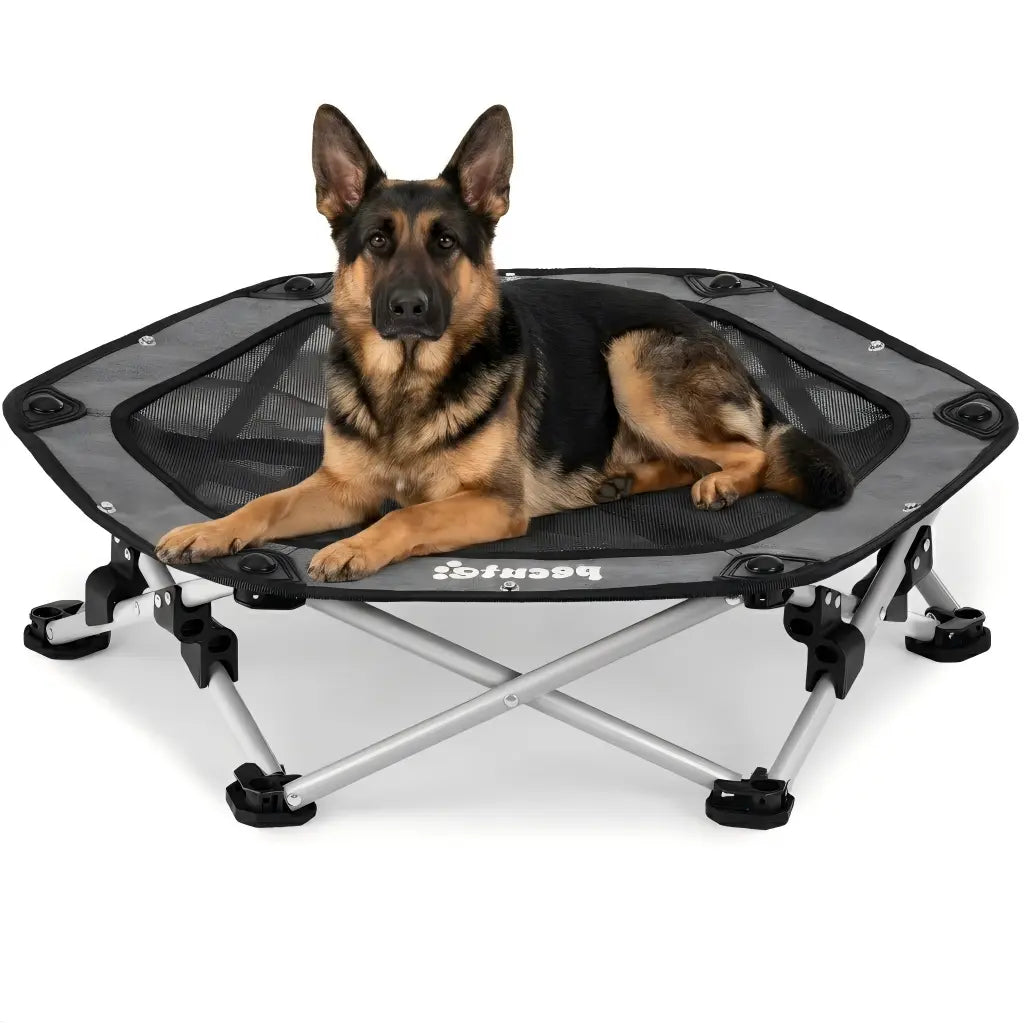 Pecute Elevated Dog Bed with Cooling Blanket - 16Mm Foldable Portable Steel Frame, Hose-Cleanable Mesh Saves Time, 60Kg Weight Capacity, Fold Back in 3S, Storage Bag, for Small Dogs Poodle, Patio Camping Outdoor Pet Cot, Plain