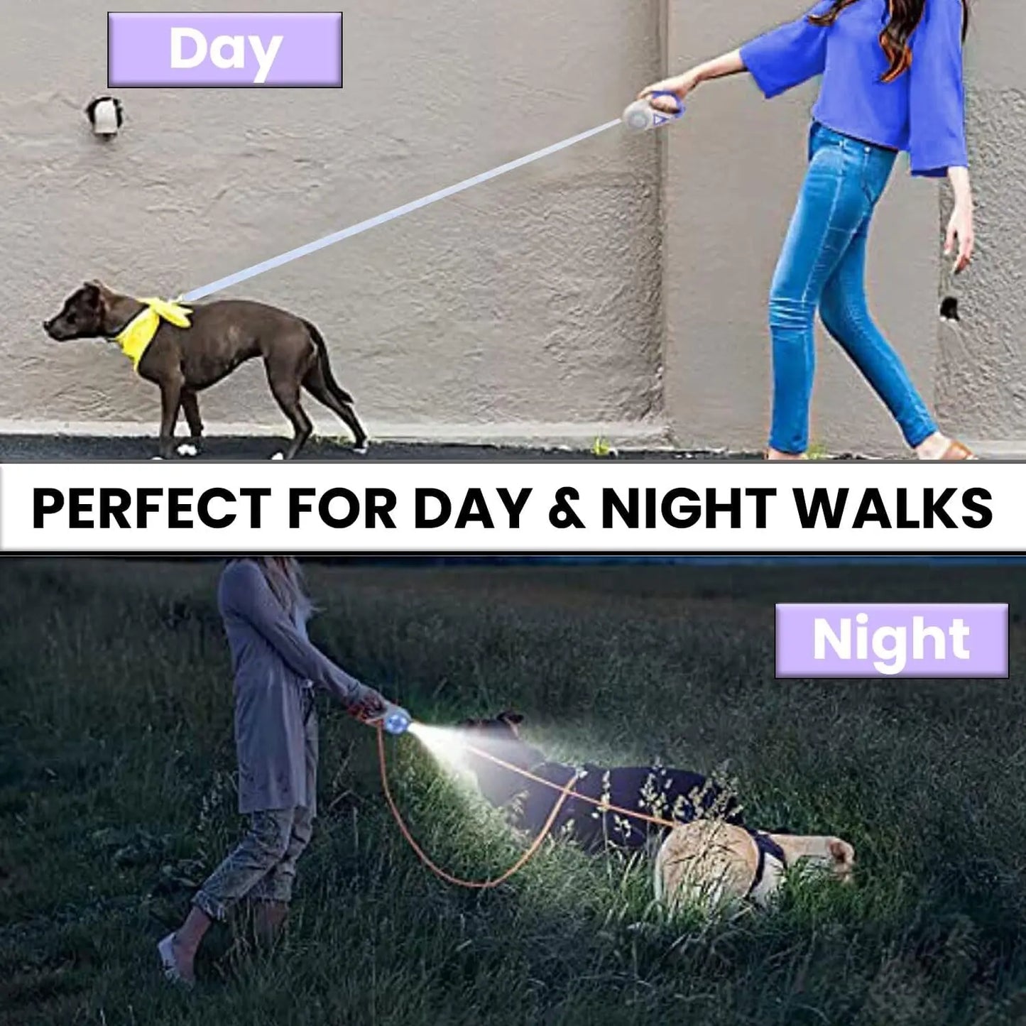 Pawzseek LED Retractable Safety Dog Leash for Small to Medium Dogs up to 110 lbs - Automatic Extendable Design